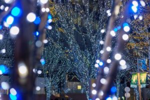 Roppongi Hills Christmas 2020 けやき坂 イルミネーション