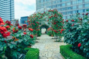 ホテルニューオータニのRed Rose Garden